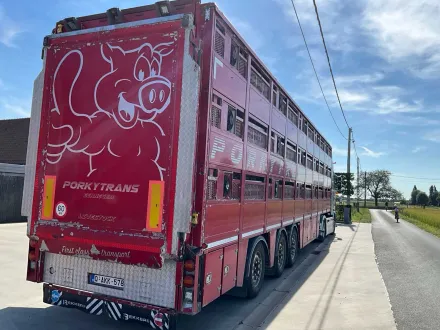BEKKERS 3 Schreibtisch-Schweineanhänger (VAN HOOL) – RESALE