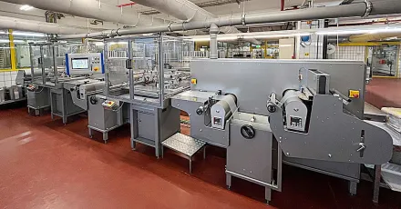 Systec/Esc 2-Farbenlinie Siebdruckmaschine – RESALE