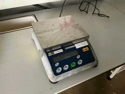 Mettler Toledo BBA 425 - 3 SM Balance – RESALE
