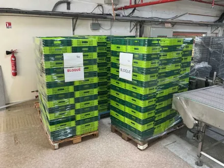 Stapelbare Kisten (180x) – RESALE