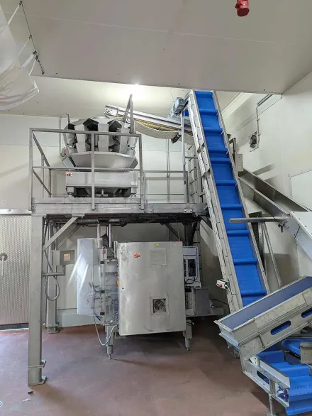 Deltapack/Hd.wiegetechnik DE 420 FU/HDW 10 3.5 Schlauchbeutelmaschine – RESALE
