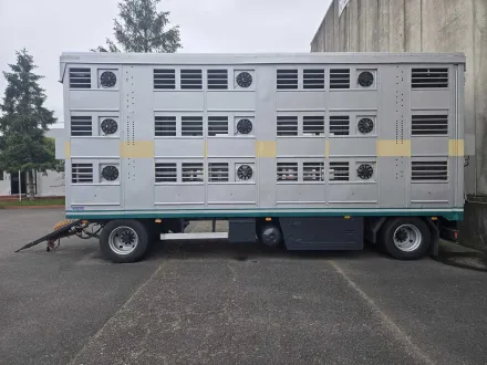 ZORZI – Viehtransportanhänger / Viehanhänger – Zorzi-CIFA – 1999 – RESALE
