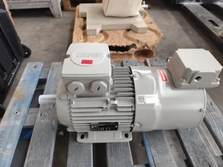 Innomotics on request Motor Bertolaso Füller 3kw – RESALE