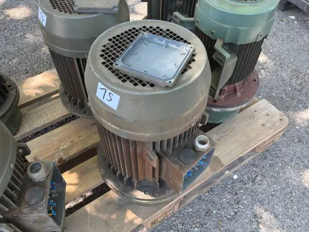 ANSALDO - A1013118 A495 - Elektromotor – RESALE