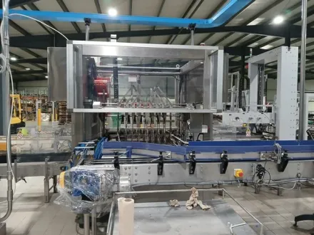 Ape Used case packer Case Packers – RESALE