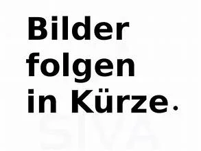 Bürkle Deckschichpressen für 3-Stab-Lamellen Type