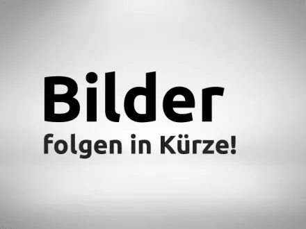 Raimann Vielblattkreissäge KR 610 M – RESALE