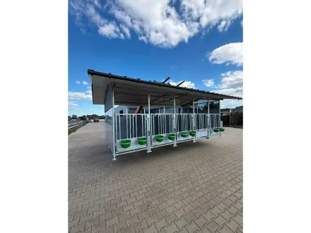 Kalbshaus 3x6 10 Kalb – 2026 – RESALE