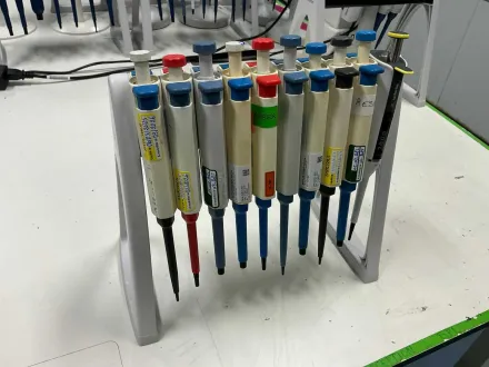 Biohit-Pipetten mit Träger (10x) – RESALE