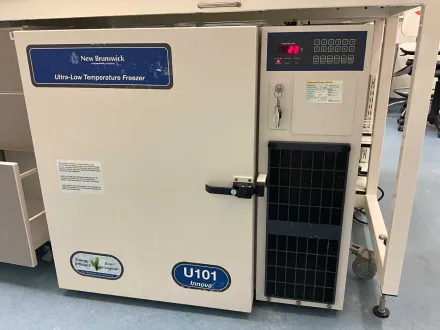 NEW BRUNSWICK Gefrierschrank -80°C – RESALE