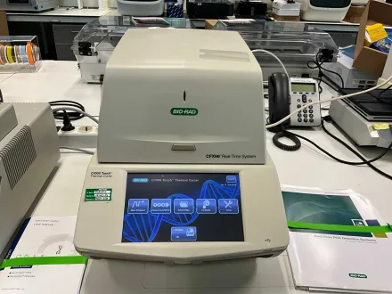 BIO-RAD CFX96 Echtzeit-PCR-System – RESALE