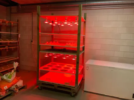 Mobile Grow Box (3x) – RESALE