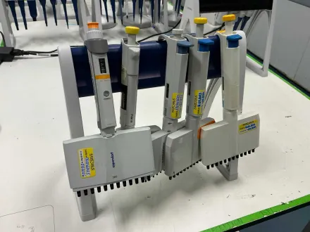 Biohit Multikanal-Pipetten mit Träger (5x) – RESALE