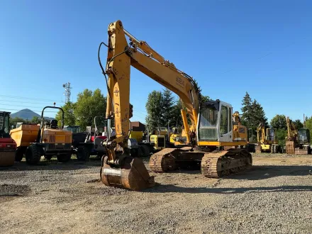 LIEBHERR - 924 - Kettenbagger - 2001 – RESALE