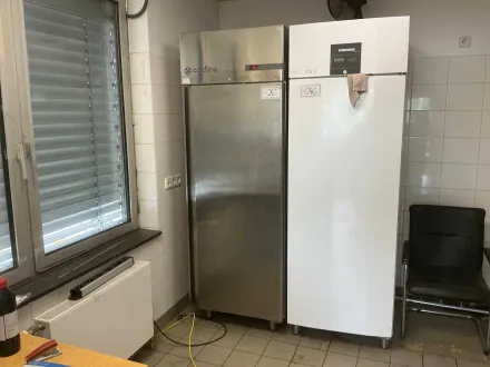 COLDLINE - A70/1B - Gefrierschrank – RESALE