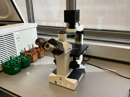 Ceti Inverso TC Invertiertes Biologisches Mikroskop – RESALE