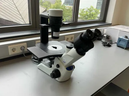 2020 Olympus CKX53SF Zellkulturmikroskop – RESALE