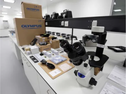 Olympus CKX53SF Zellkulturmikroskop 2024 – RESALE