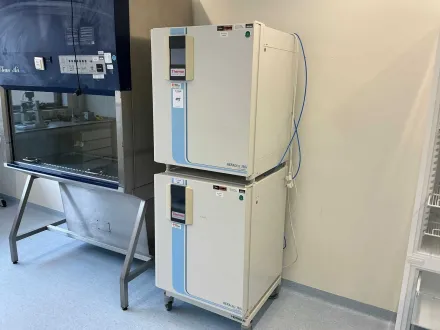 Thermowissenschaftlicher HERAcell 150i GP Labor CO2-Inkubator (2x) – RESALE