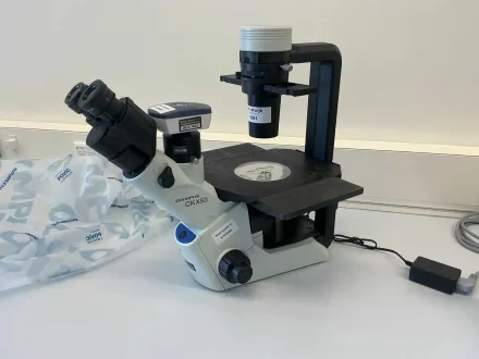 Olympus CKX53SF Zellkulturmikroskop 2022 – RESALE