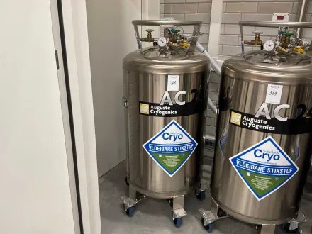 2024 Auguste Cryogenics AC240PB Kryo-Speicher- und Transportbehälter – RESALE