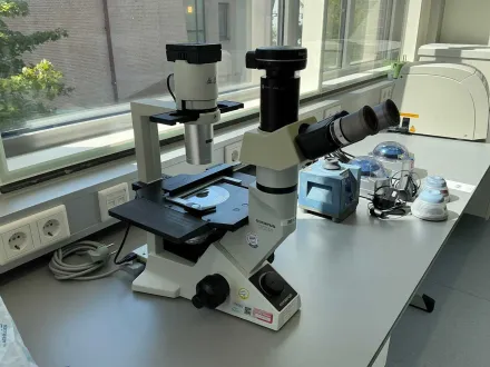 Olympus CKX41 Zellkulturmikroskop – RESALE