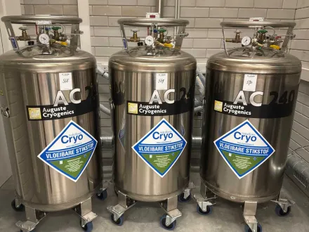 2024 Auguste Cryogenics AC240PB Kryo-Speicher- und Transportbehälter – RESALE