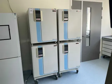 Thermowissenschaftlicher HERAcell 150i GP Labor CO2-Inkubator (4x) – RESALE