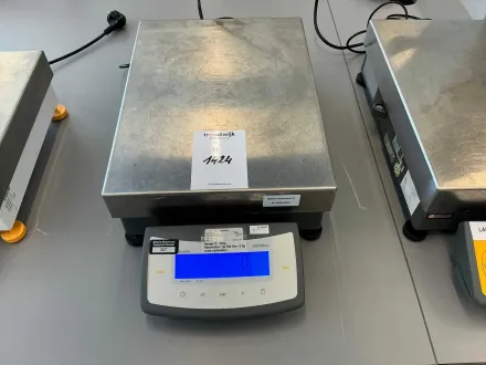 Sartorius CPA34000 Laborbilanz – RESALE