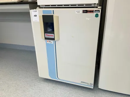 2010 Thermowissenschaftlicher HERAcell 150i GP Labor CO2-Inkubator – RESALE