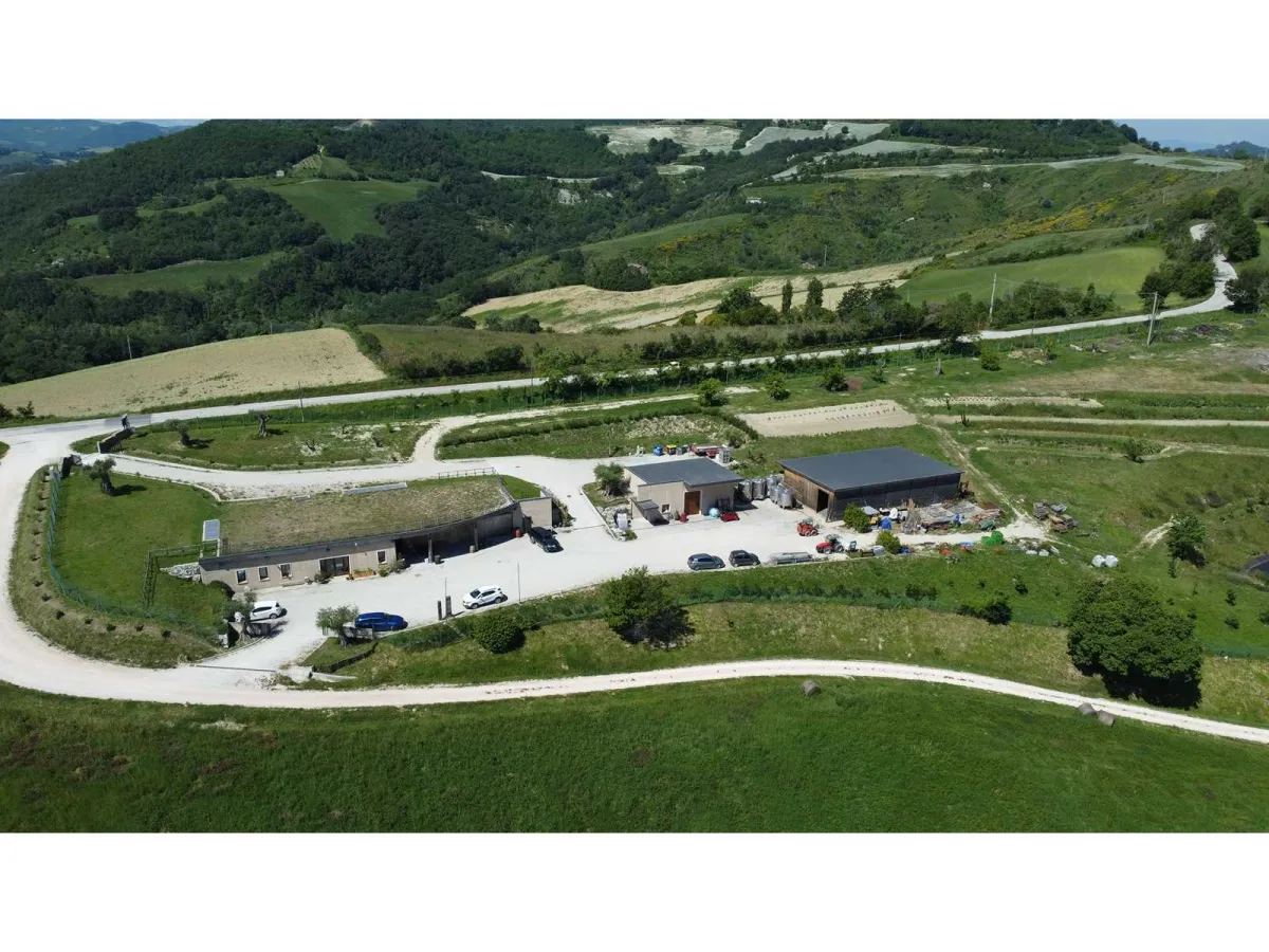 Bauernhof in Cartoceto (PU) mit Keller, Olivenhainen und Land