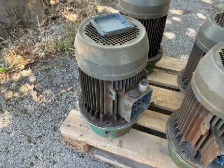 ANSALDO - A1013118 A495 - Elektromotor – RESALE