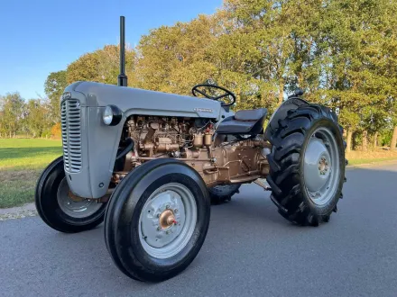 Ferguson 35 Goldbelly Oldtimer-Traktor – RESALE