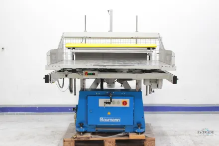 Baumann BSB 6 L Schüttelautomat Rüttler mit Ausstreichwalze / Auto – RESALE