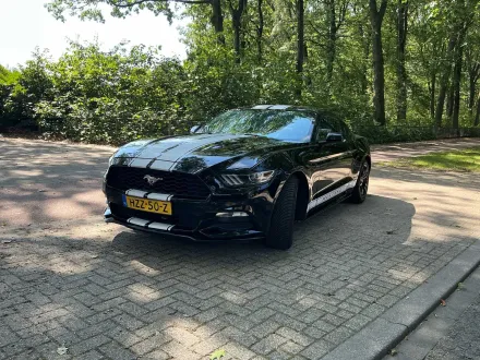 2015 Ford FORD MUSTANG 50 Jahre P-Kraftwagen – RESALE