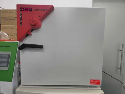 BINDER - BF 56 - Zwangskonvektionsinkubatoren – RESALE