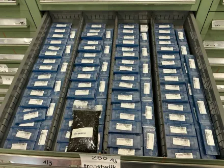 Komet Große Teilecharge – RESALE