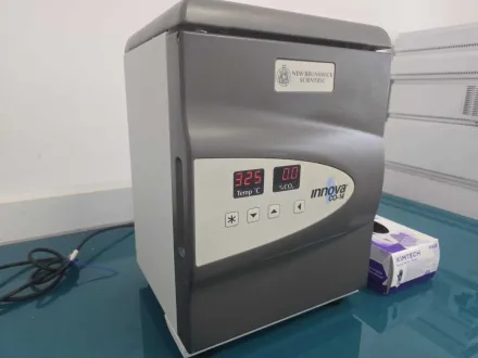 New Brunswick Scientific – Innova CO-14 – CO2-Inkubator – RESALE