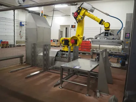 Fanuc LTD palletizing robot, consisting of: roller – RESALE