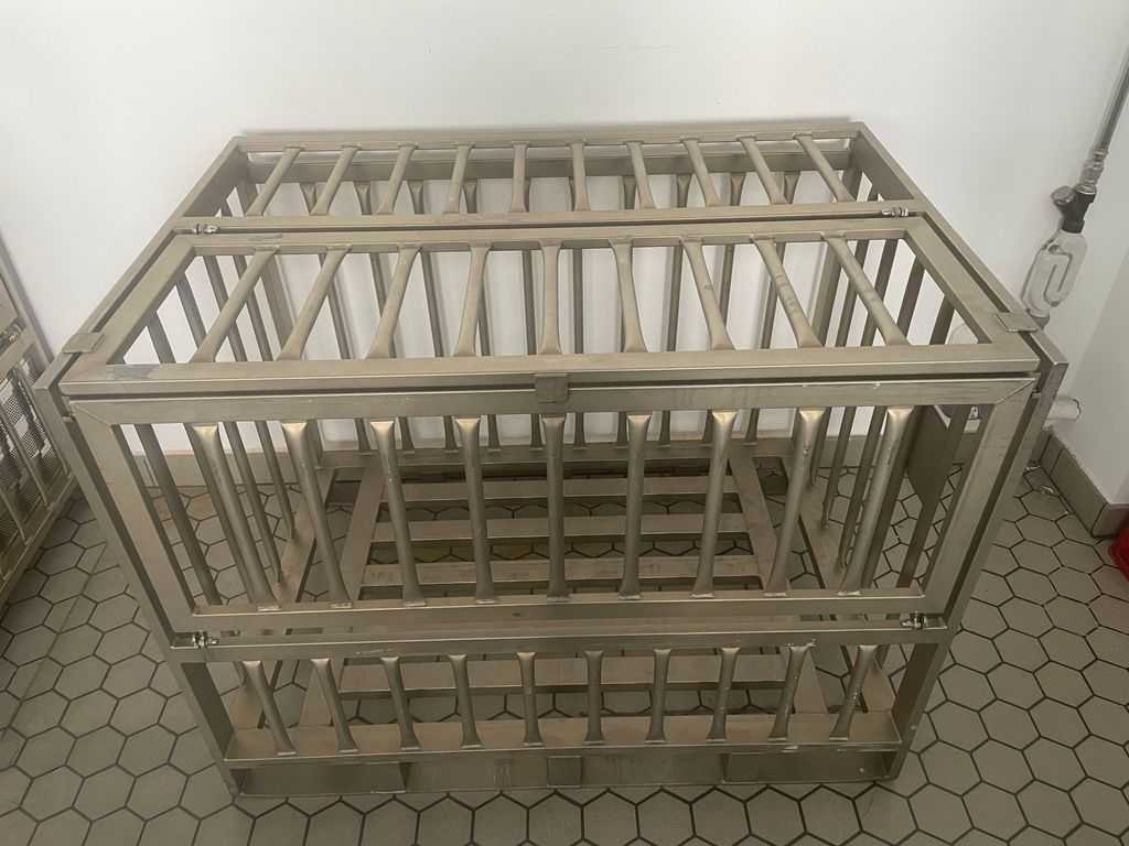 LKE Gitterbox Edelstahl tauchbar Lebensmittel-tauglich (2 Stück)