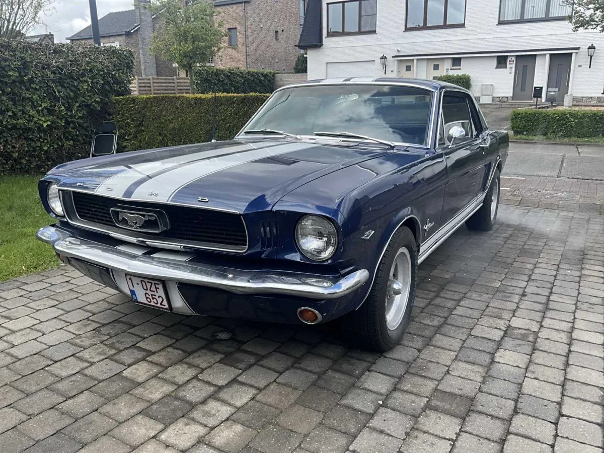 Ford Mustang – 1966 – zum Verkauf zugelassen