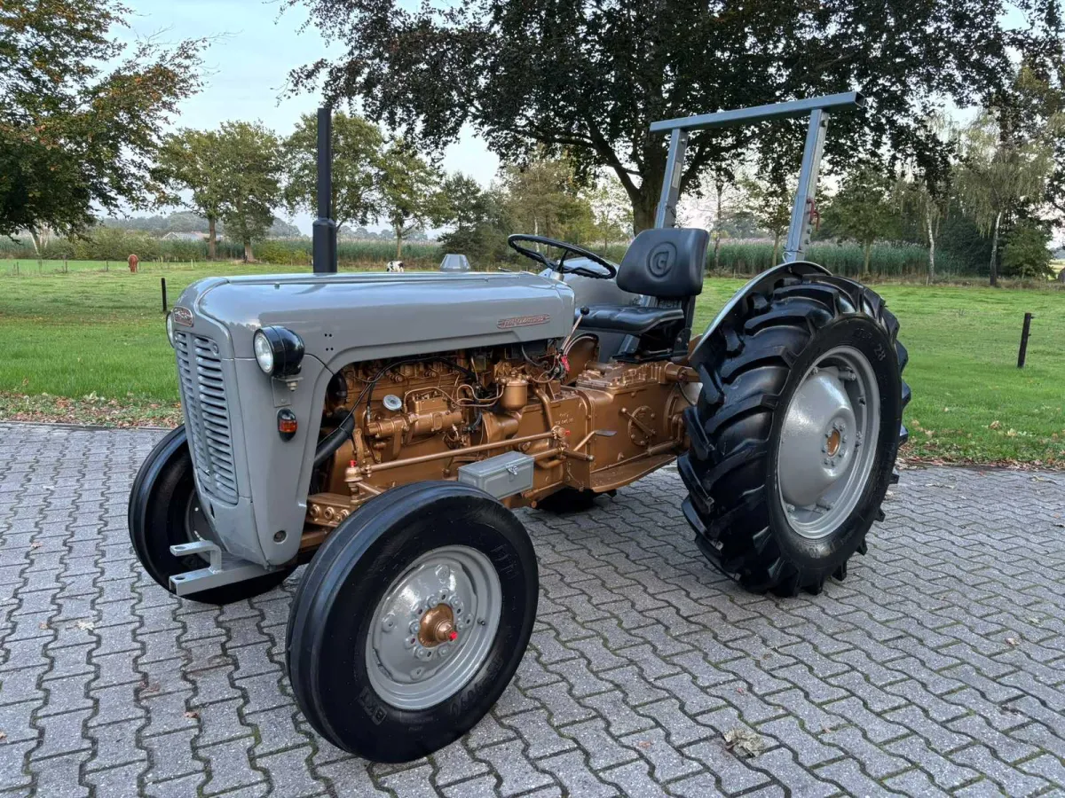 1958 Massey Ferguson 35 Goldbelly