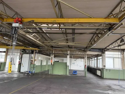 WIEDMANN Brückenkran – RESALE