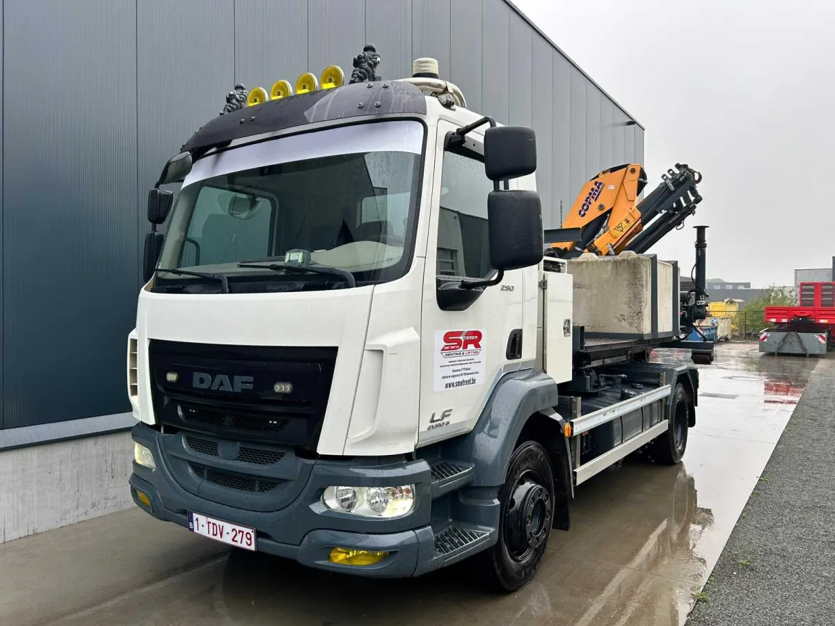 2017 DAF LF 290 Euro 6 Hakenliftsystem mit Copma 180.4 Kran