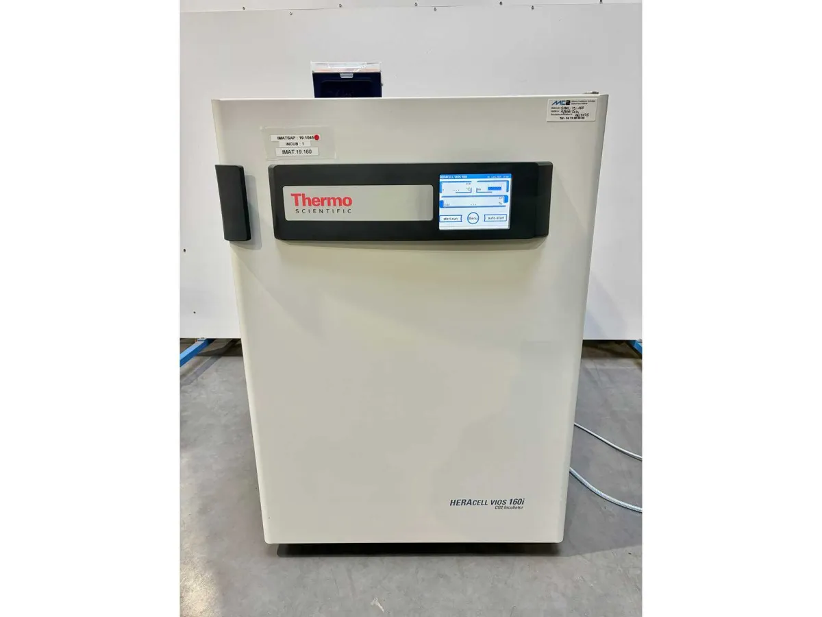 THERMOWISSENSCHAFTLICH - 2019 - HERAcell vios 160 i - Klimakammer