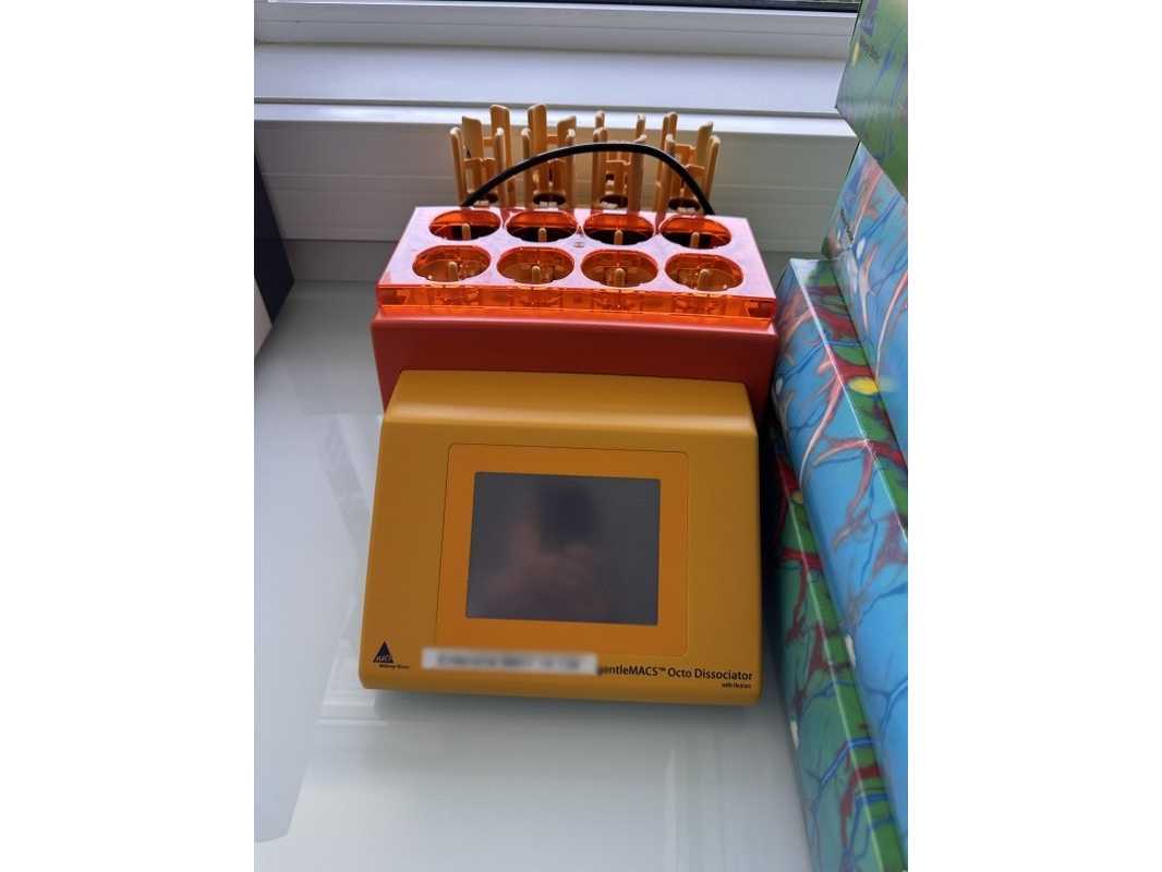 mittenyi - 2019 - Gentle Macs Auto mit Heizungen - Gewebedissoziator
