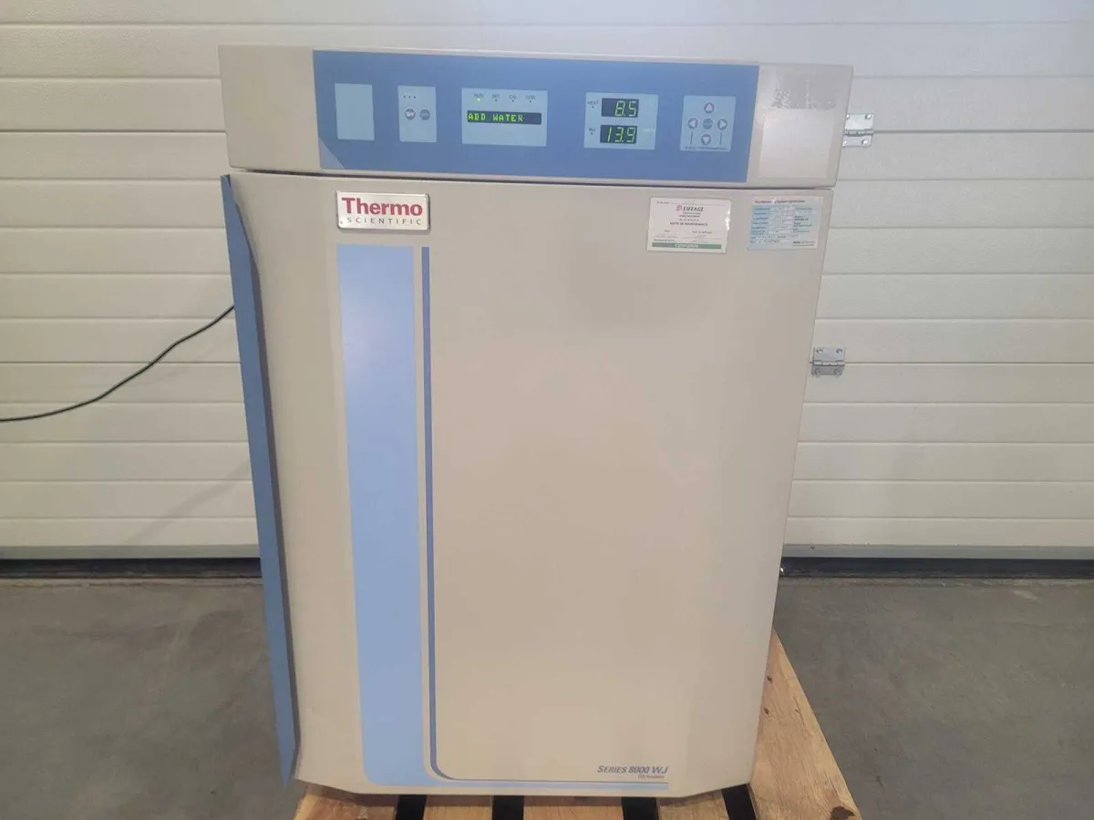 THERMO SCIENTIFIC - 8000 WJ 3429 - Inkubator / CO2-Ofen