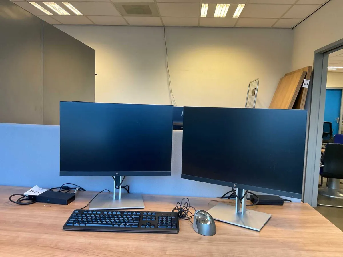 HP-Monitor (2x)
