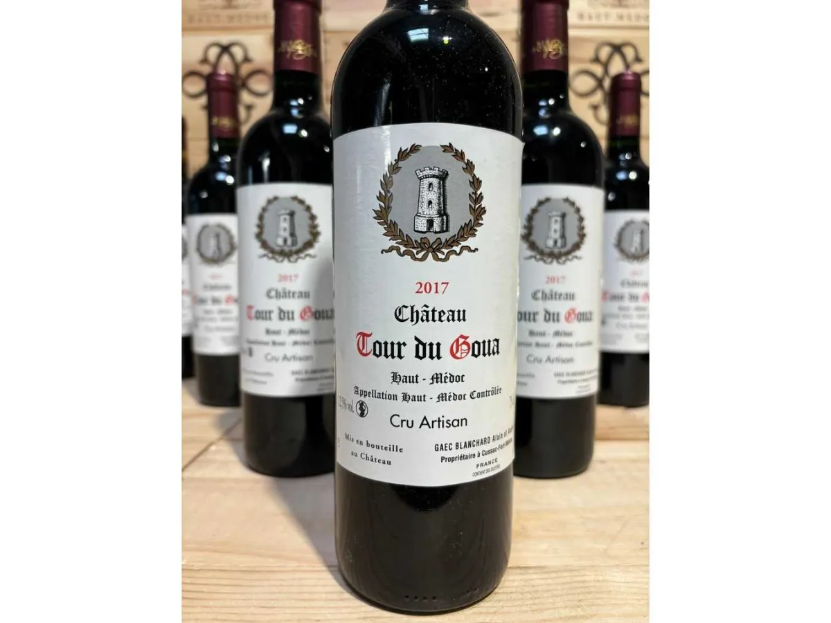 CHÂTEAU TOUR DU GOUA Rotwein – Cru Artisan – Bordeaux 2016 (30x)