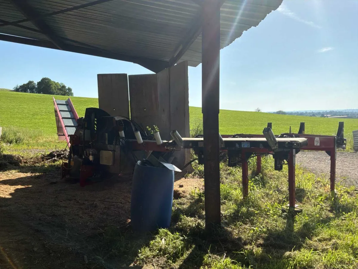 Holzspalter 2021
